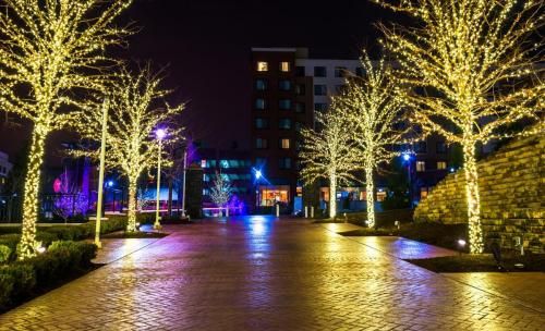 Holiday lights
